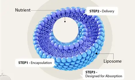 Liposomal NAD+: Key Benefits, Science & What to Know